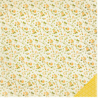 Crate Paper - Open Road Collection - 12 x 12 Double Sided Paper - Peach Springs