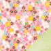 American Crafts - Pebbles - Garden Party Collection - 12 x 12 Double Sided Paper - Rosebud