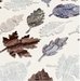 Pebbles - Warm and Cozy Collection - Chipboard Leaves