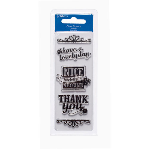 American Crafts - Pebbles - Fresh Goods Collection - Clear Acrylic Stamps - Nice Having You