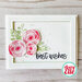 Avery Elle - Clear Photopolymer Stamps - More Sentiments