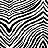 Anna Griffin - Peyton Collection - 12 x 12 Flocked Paper - Zebra