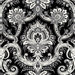Anna Griffin - Willow Collection - 12 x 12 Flocked Paper - Black Damask