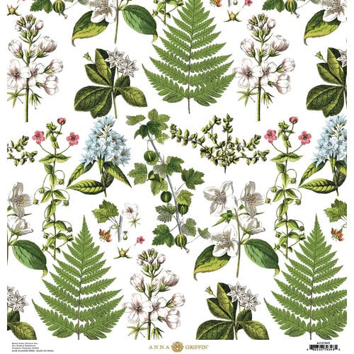 Anna Griffin - 12 x 12 Cardstock - Spring Botanical - White