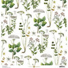Anna Griffin - 12 x 12 Cardstock - Long Stem Botanical - White