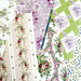 Anna Griffin - 12 x 12 Floral Cardstock Bundle