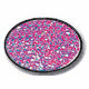 Art Institute Glitter - Art Glitter - Amethyst - One-Half Ounce - No. 98, CLEARANCE
