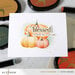 Altenew - 3D Embossing Folder - One-Go - Sweet Pumpkins
