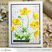 Altenew - Layering Dies - Craft-A-Flower - Buttercup Bunch
