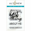 Altenew - Clear Photopolymer Stamps - The Best Thing