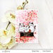 Altenew - Clear Photopolymer Stamps - Cat Life