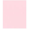Bazzill Basics - 8.5 x 11 Cardstock - Canvas Texture - Petalsoft