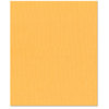 Bazzill Basics - 8.5 x 11 Cardstock - Canvas Bling Texture - Celebrity