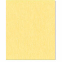 Bazzill Basics - 8.5 x 11 Cardstock - Canvas Bling Texture - November Birthstone