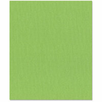 Bazzill Basics - 8.5 x 11 Cardstock - Canvas Bling Texture - Bank Roll