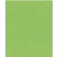Bazzill Basics - 8.5 x 11 Cardstock - Canvas Bling Texture - Bank Roll