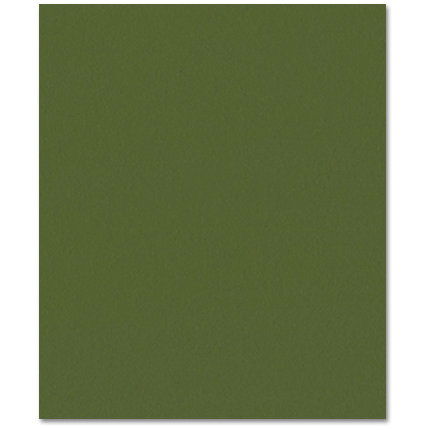 Bazzill Basics - Prismatics - 8.5 x 11 Cardstock - Dimpled Texture - Herbal Garden Dark