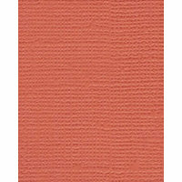 Bazzill Basics - Bulk Cardstock Pack - 25 Sheets - 8.5x11 - Sun Coral, CLEARANCE