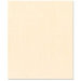 Bazzill Basics - 8.5 x 11 Cardstock - Canvas Texture - Savannah