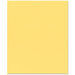 Bazzill Basics - 8.5 x 11 Cardstock - Grasscloth Texture - Pollen