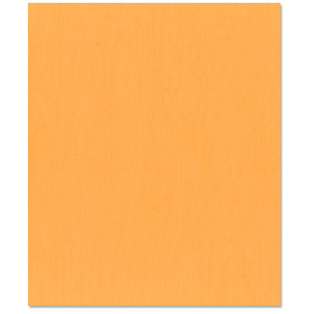 Bazzill Basics - 8.5 x 11 Cardstock - Canvas Texture - Apricot