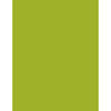 Bazzill Basics - 8.5 x 11 Cardstock - Grasscloth Texture - Sour Apple