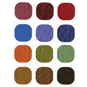 Bazzill Basics Inspirations Cardstock Pack - 12 x 12 - Dark Orange Peel Texture