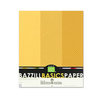 Bazzill - Dotted Swiss - 8.5 x 11 Cardstock Pack - 15 Sheets - Honey Trio
