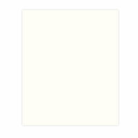 Bazzill Basics - 8.5 x 11 Cardstock - Simply Smooth Texture - White