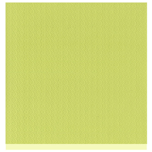 Bazzill Basics - Two Scoops Collection - 12 x 12 Sandable Cardstock - Key Lime Pie