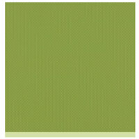 Bazzill Basics - Two Scoops Collection - 12 x 12 Sandable Cardstock - Prickly Pear
