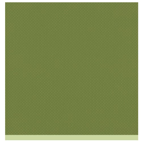 Bazzill Basics - Two Scoops Collection - 12 x 12 Sandable Cardstock - Luscious Lime