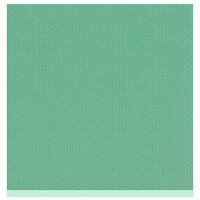 Bazzill - Two Scoops Collection - 12 x 12 Sandable Cardstock - Pistachio Nut