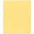 Bazzill Basics - 8.5 x 11 Cardstock - Orange Peel Texture - Daisy