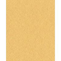 Bazzill Basics - Bulk Cardstock Pack - 25 Sheets - 8.5x11 - Sunflower, CLEARANCE