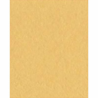 Bazzill Basics - Bulk Cardstock Pack - 25 Sheets - 8.5x11 - Sunflower, CLEARANCE