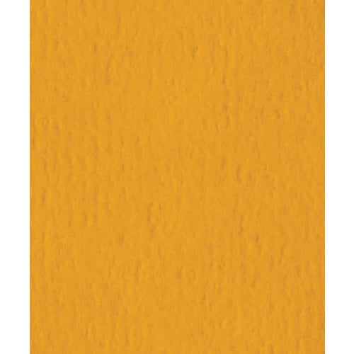 Bazzill Basics - 8.5 x 11 Cardstock - Orange Peel Texture - Butterscotch