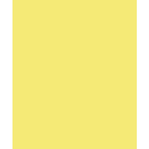 Bazzill Basics - Card Shoppe - 8.5 x 11 Cardstock - Premium Smooth Texture - Sour Lemon