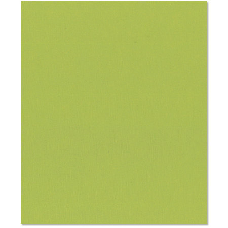 Bazzill Basics - 8.5 x 11 Cardstock - Canvas Texture - Parakeet