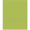 Bazzill Basics - 8.5 x 11 Cardstock - Canvas Texture - Parakeet