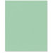 Bazzill Basics - 8.5 x 11 Cardstock - Grasscloth Texture - Patina