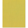 Bazzill Basics - 8.5 x 11 Cardstock - Canvas Texture - Lizard
