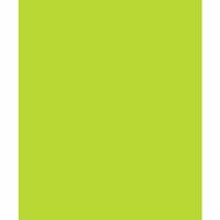 Bazzill Basics - Card Shoppe - 8.5 x 11 Cardstock - Premium Smooth Texture - Juicy Pear