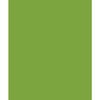 Bazzill Basics - Card Shoppe - 8.5 x 11 Cardstock - Premium Smooth Texture - Easter Grass