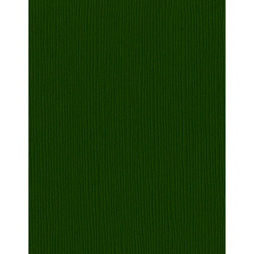 Bazzill Basics - 8.5 x 11 Cardstock - Grasscloth Texture - Avocado