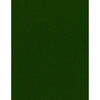 Bazzill Basics - 8.5 x 11 Cardstock - Grasscloth Texture - Avocado