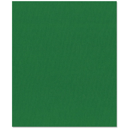 Bazzill Basics - 8.5 x 11 Cardstock - Burlap Texture - Bazzill Green
