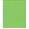 Bazzill Basics - 8.5 x 11 Cardstock - Criss Cross Texture - Grasshopper