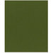 Bazzill Basics - 8.5 x 11 Cardstock - Canvas Texture - Ivy