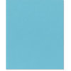 Bazzill Basics - 8.5 x 11 Cardstock - Smooth Texture - Caribbean Breeze